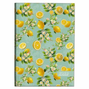 66d5518cbe3be3429886bd7d3174adc4