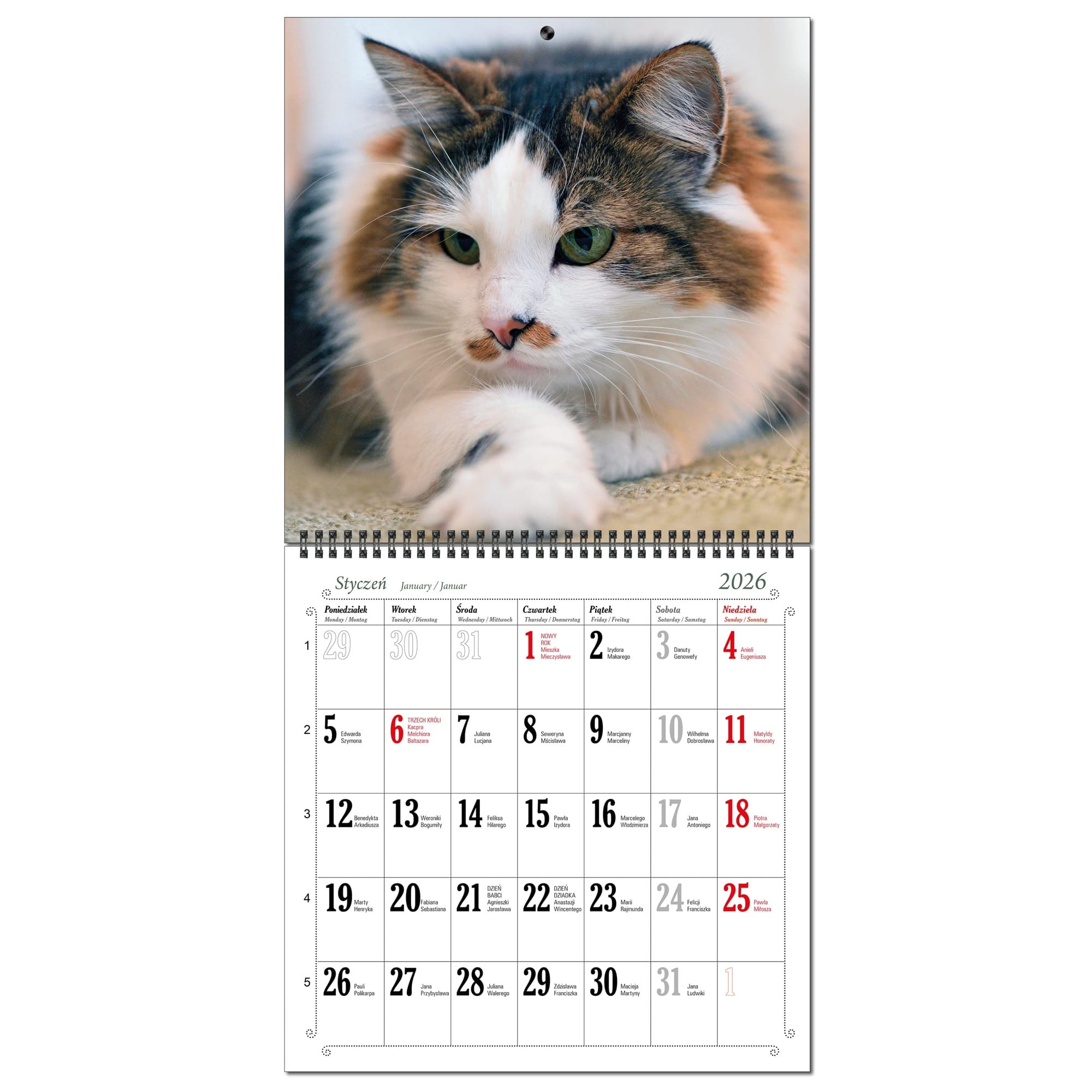 Kalendarz 2026 ścienny duży 30 x 60 cm 13 planszowy KOTY d77d4072026694676e32591ccd55de05