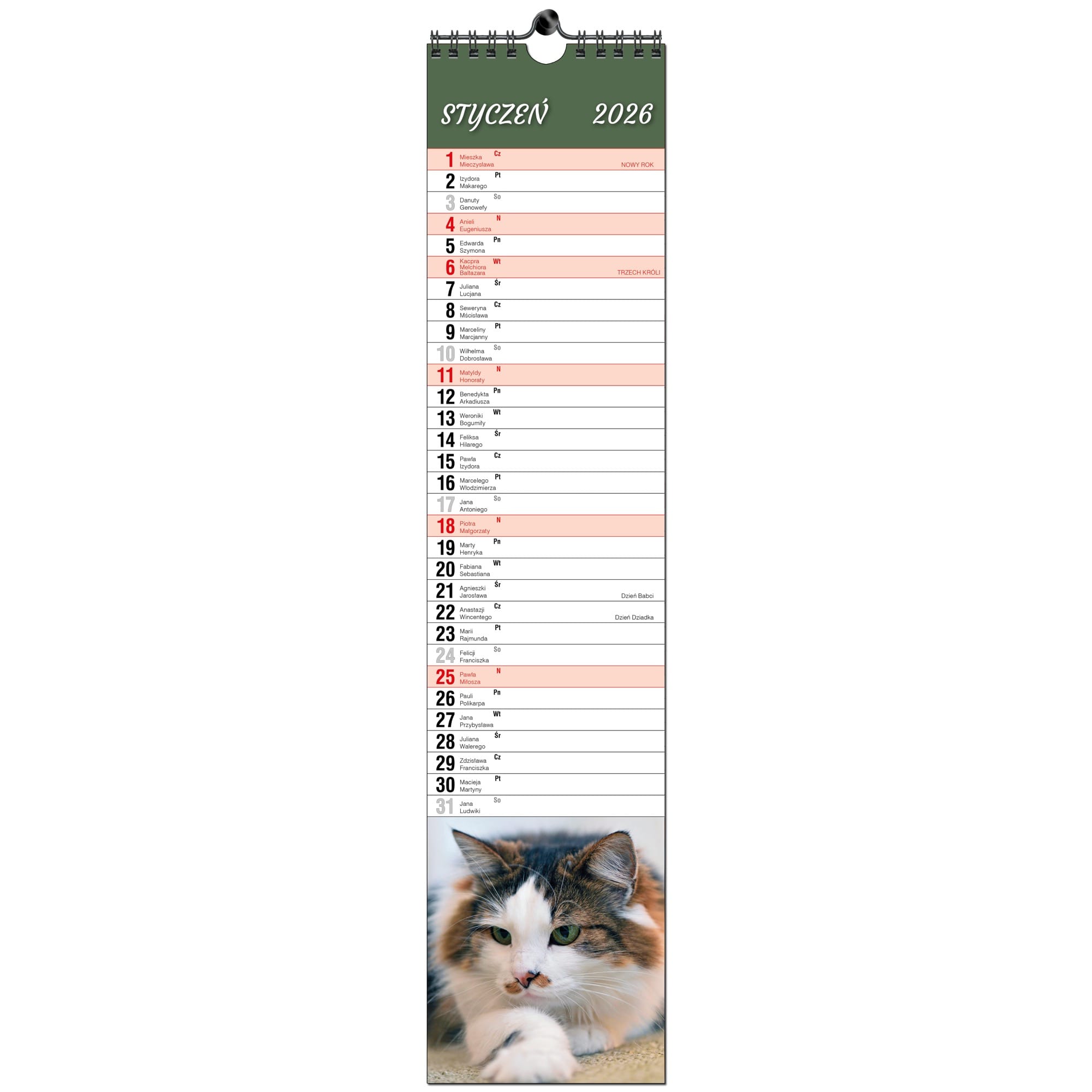 Kalendarz 2026 paskowy terminarz do notatek 11×48 13 planszowy KOTY 8f9400ed16c7086baaad2d36e55b6ea9