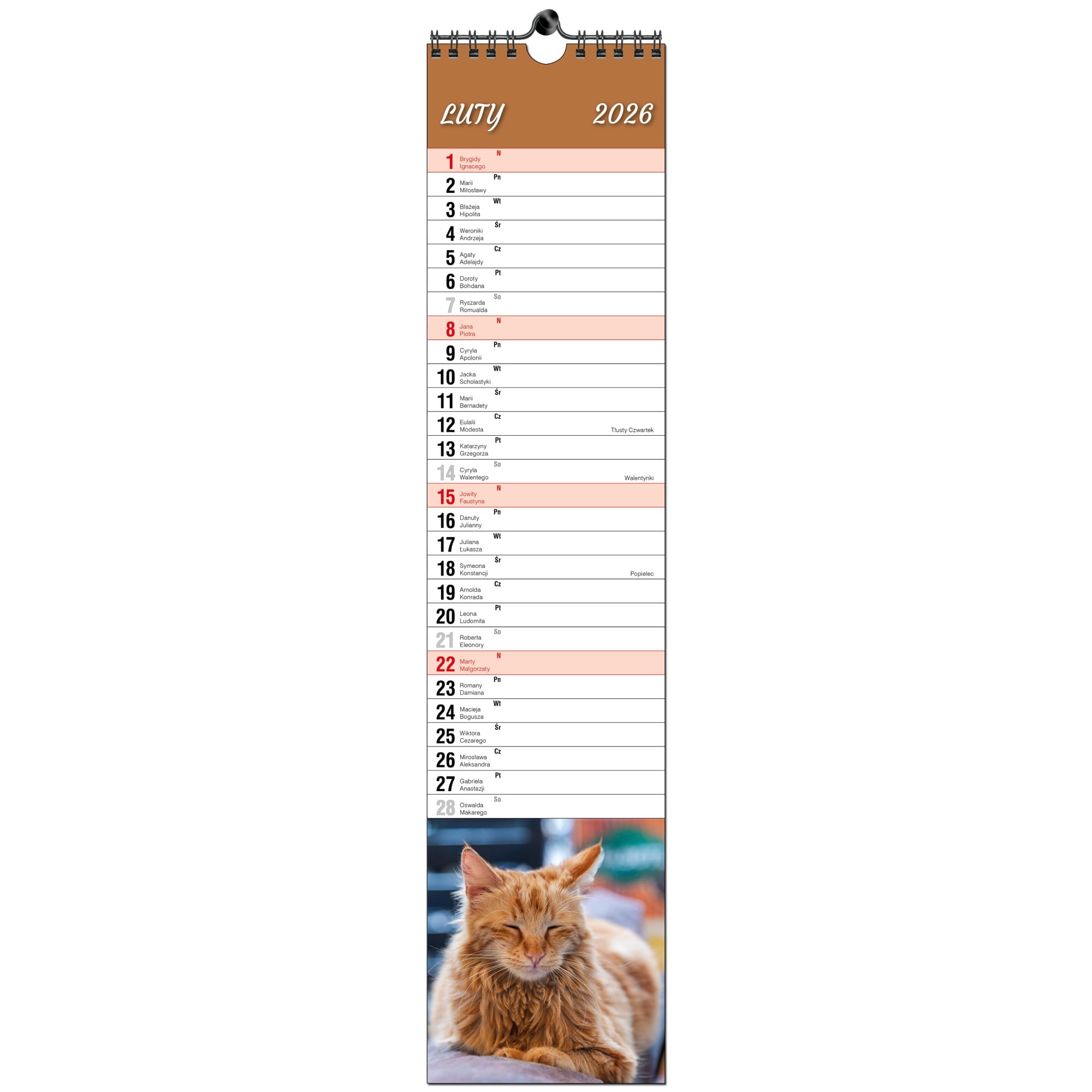 Kalendarz 2026 paskowy terminarz do notatek 11×48 13 planszowy KOTY 45f9be2d21bcebd27e44c9ad7606b4ce