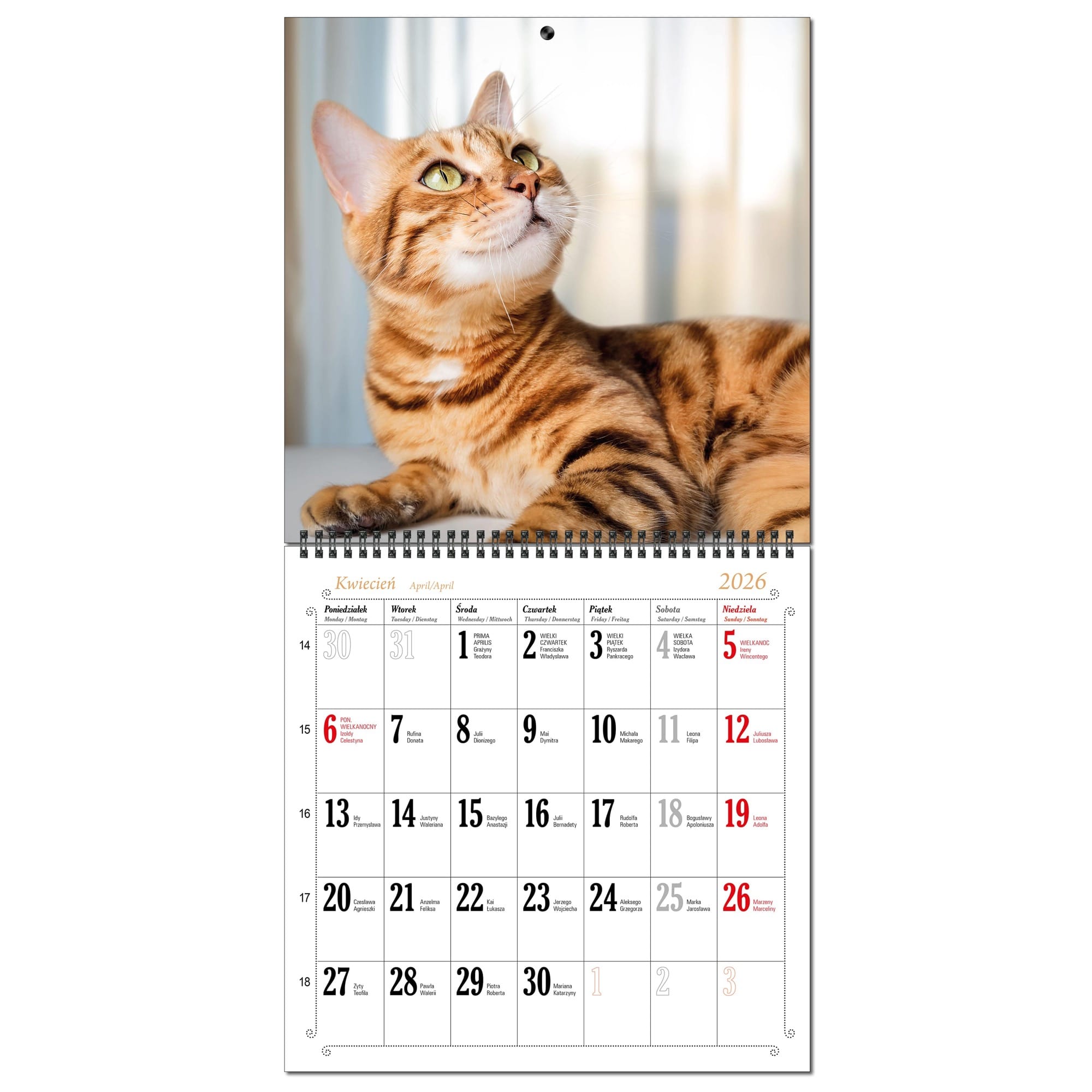 Kalendarz 2026 ścienny duży 30 x 60 cm 13 planszowy KOTY 4a0eabf311713205d053b53b1487eded