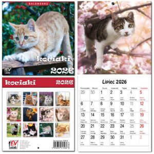 4c1da827cf1a15dd95c147f07f0dca08