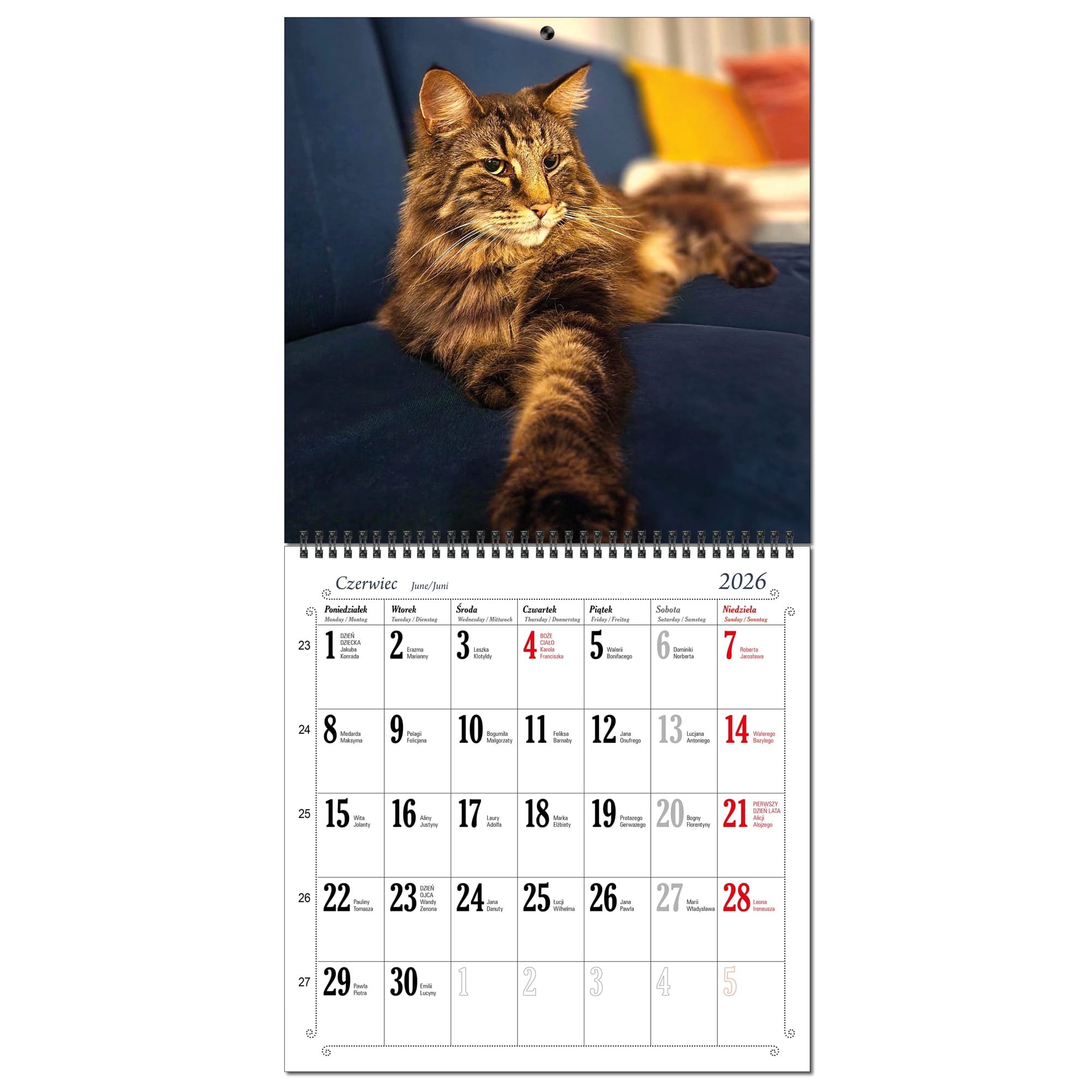 Kalendarz 2026 ścienny duży 30 x 60 cm 13 planszowy KOTY 2f2e5cf9481def23bd9a35fccc8a64f8