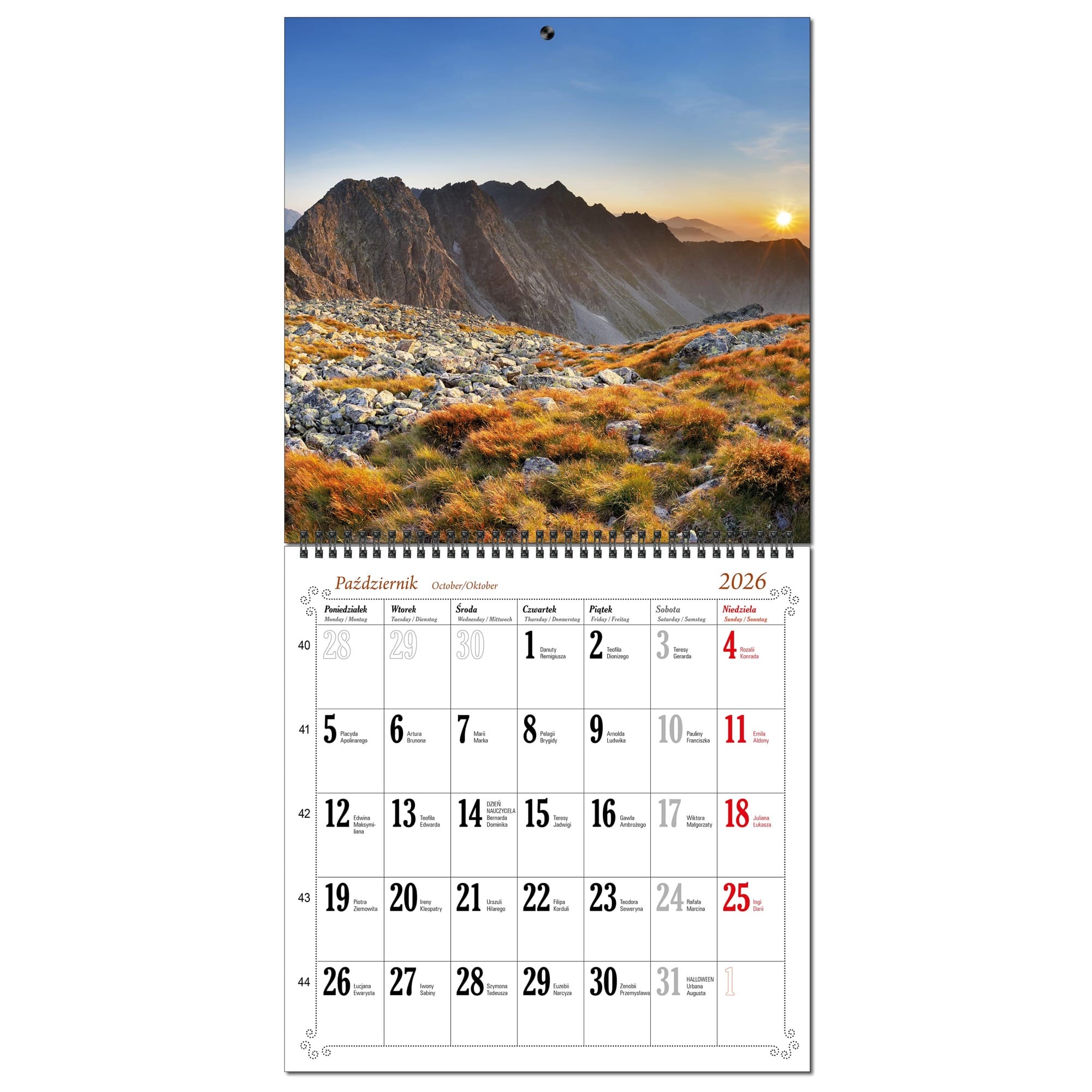 Kalendarz 2026 ścienny duży 30 x 60 cm 13 planszowy POLSKIE PEJZAŻE c05e13bb0df52ec6c136d099edae5da6