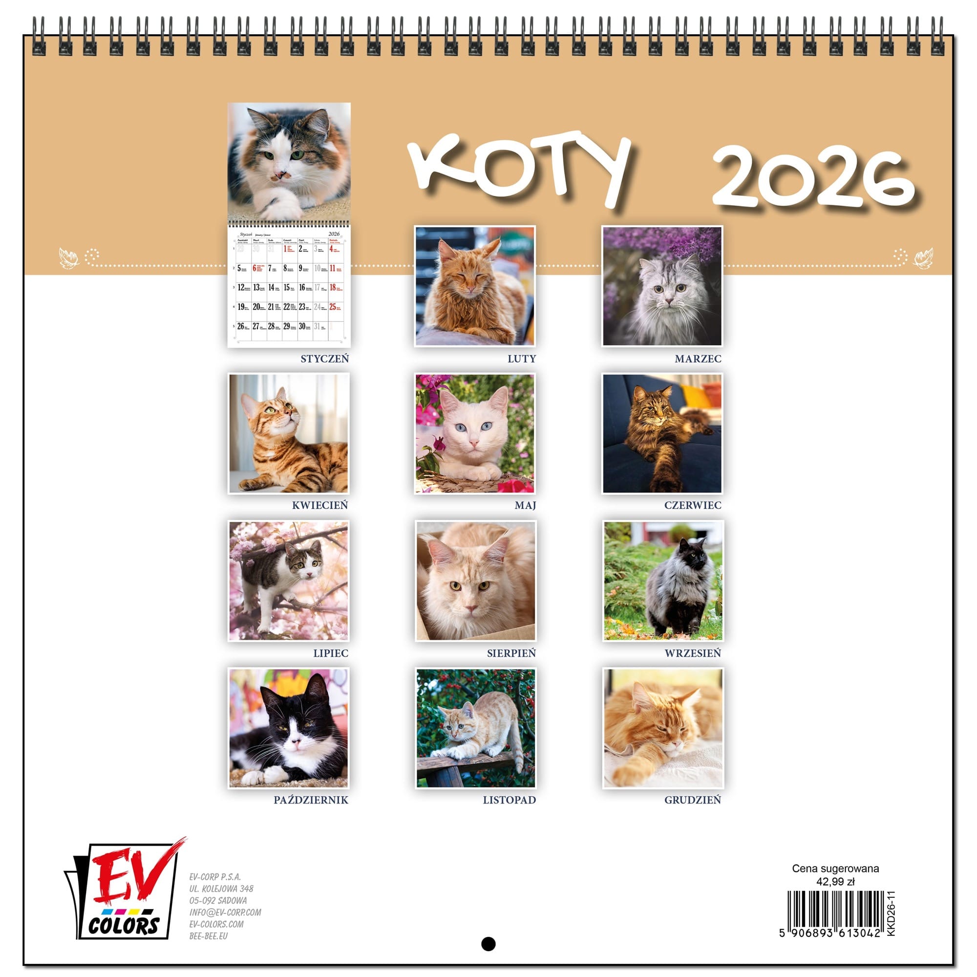 Kalendarz 2026 ścienny duży 30 x 60 cm 13 planszowy KOTY 1af97e3aa36196c025e5c21d058a9010