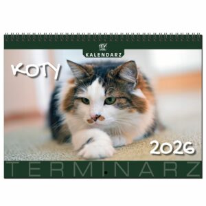 a1ef72448c35a9b692691353c699313b