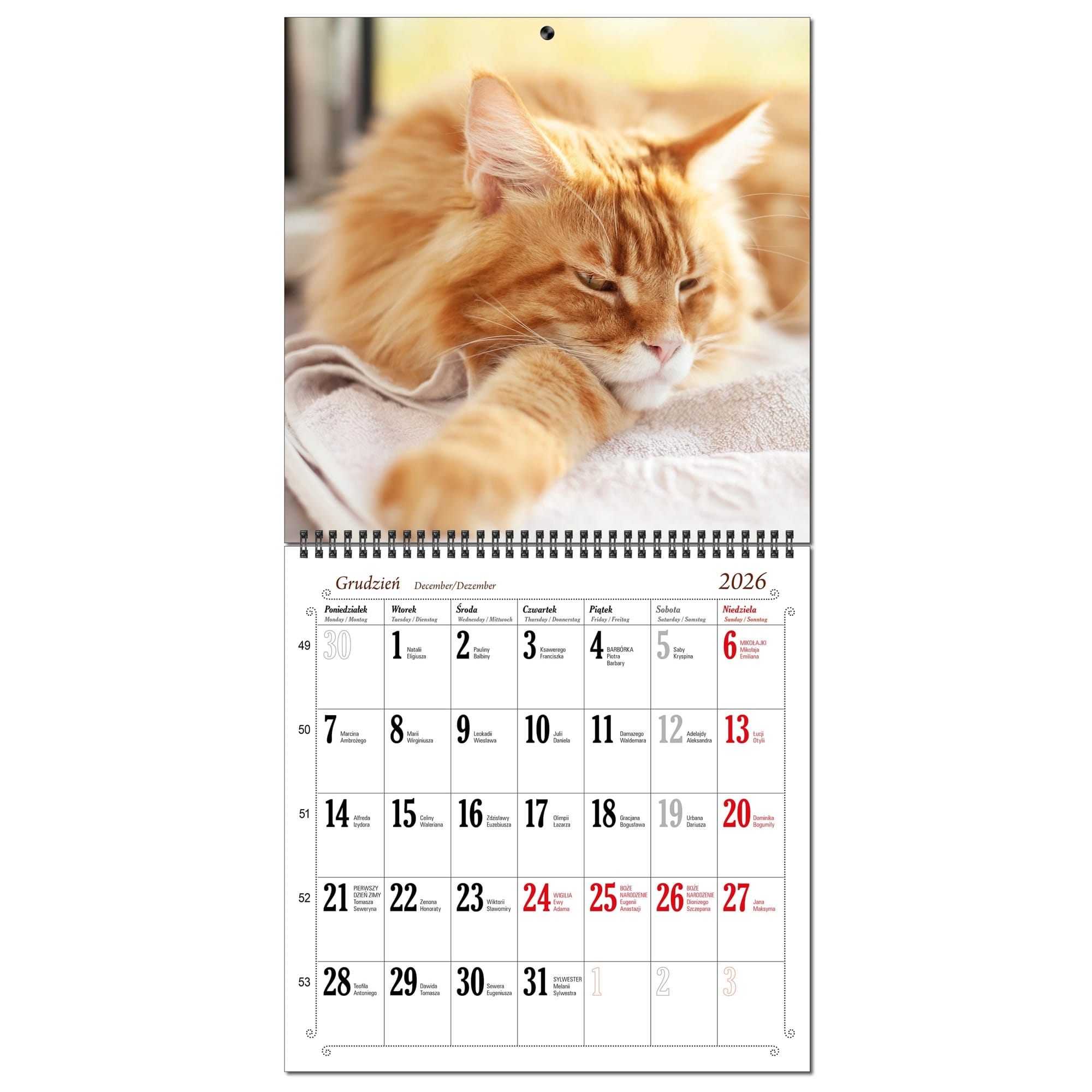 Kalendarz 2026 ścienny duży 30 x 60 cm 13 planszowy KOTY a056442b8268294089816b8899ab4250