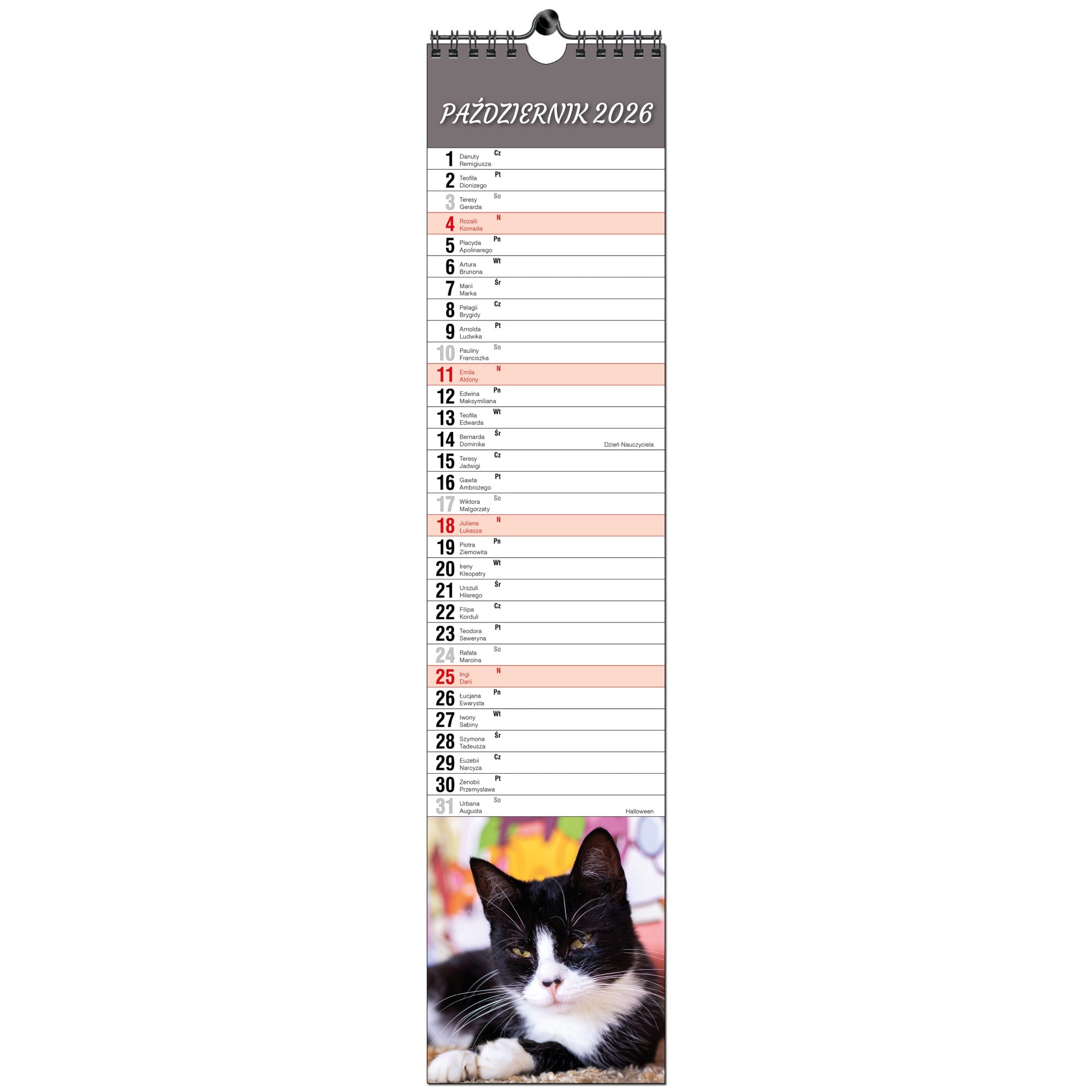 Kalendarz 2026 paskowy terminarz do notatek 11×48 13 planszowy KOTY 5ca4a9d4bebfb5ce02f2527aea307d4a