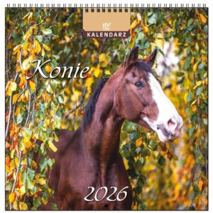 57994d4943ea75138cfba3f005df210c