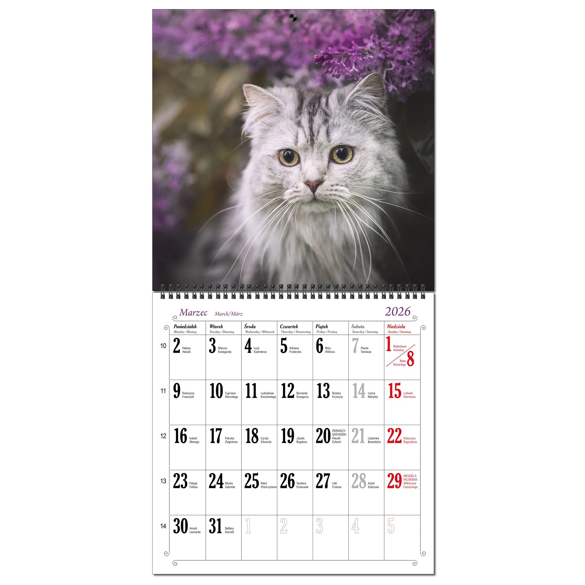 Kalendarz 2026 ścienny duży 30 x 60 cm 13 planszowy KOTY 69f9c239fb528e91d10f5d85368b6d18