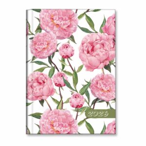 f1ff88dd818e2f61c7de0990e39ff219