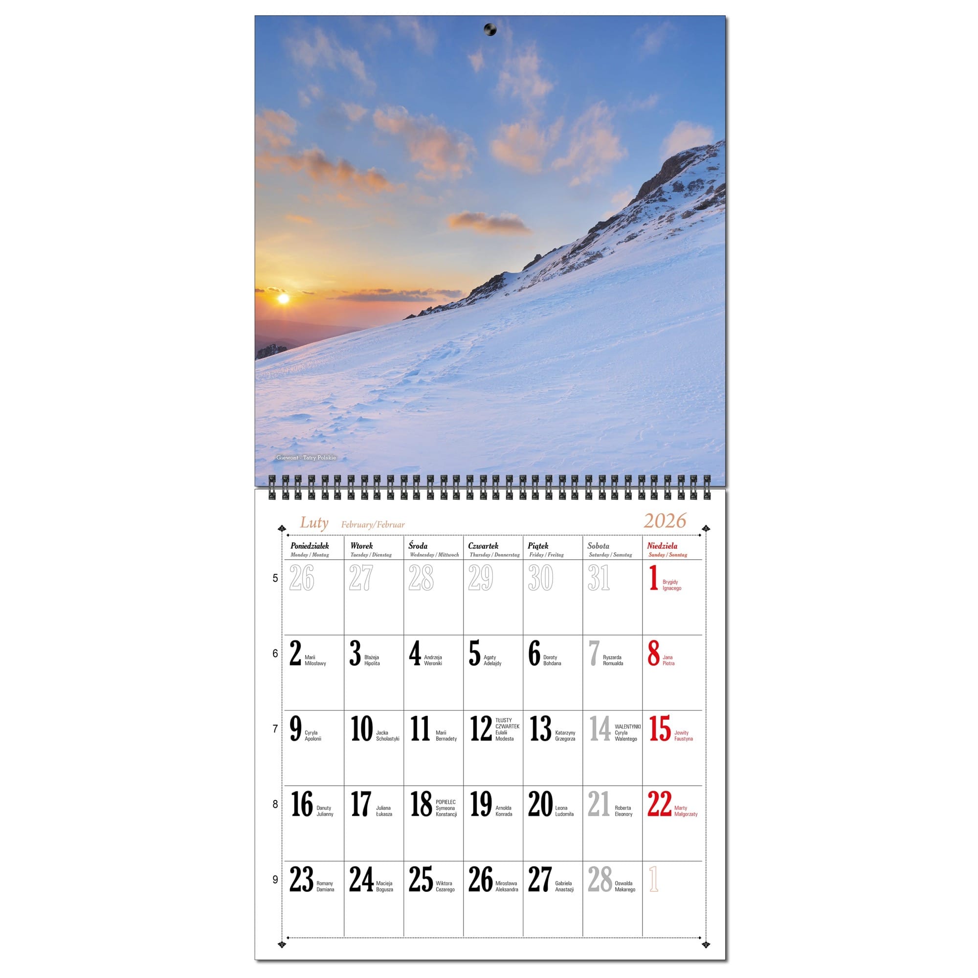 Kalendarz 2026 ścienny duży 30 x 60 cm 13 planszowy POLSKIE GÓRY 777e74401df0c204a417fce8359704de