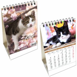 755b76102b6885a09b68c3dce390ab22