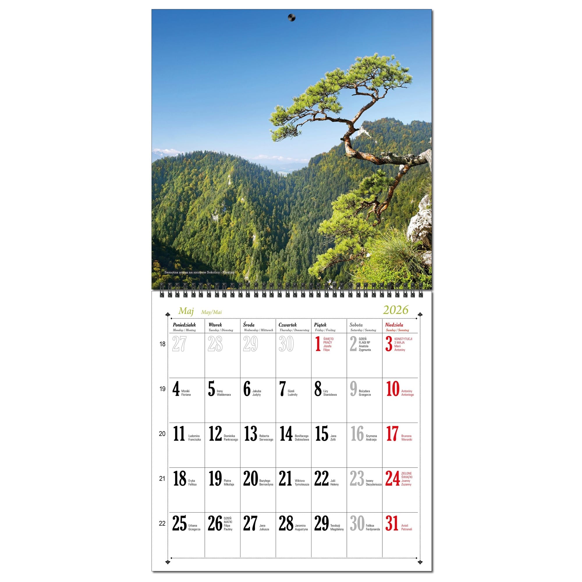 Kalendarz 2026 ścienny duży 30 x 60 cm 13 planszowy POLSKIE GÓRY f43919bd1e96ec8518aa1bccb3757b49