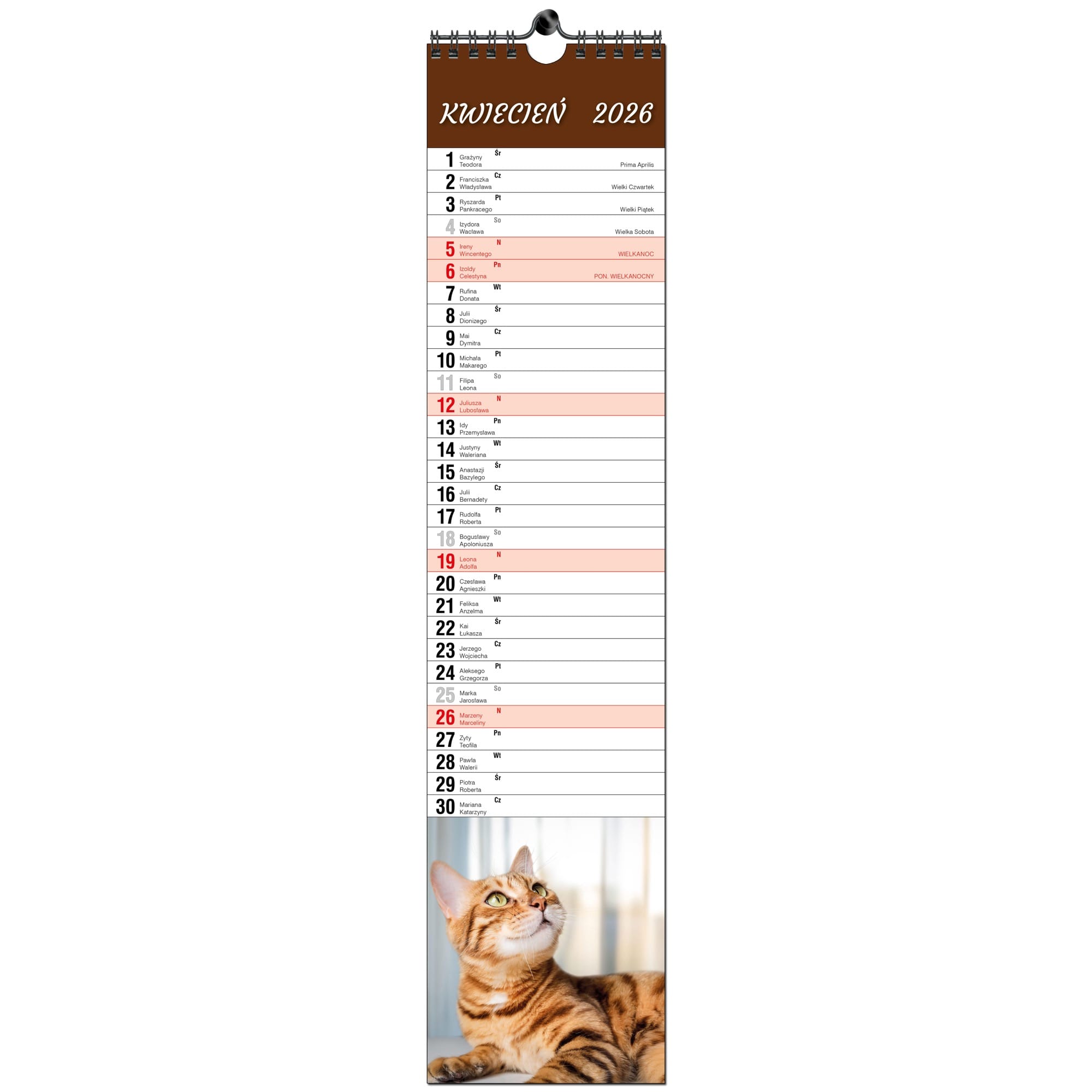 Kalendarz 2026 paskowy terminarz do notatek 11×48 13 planszowy KOTY 40b61012e71a99b8ebdb00780b9fa92a