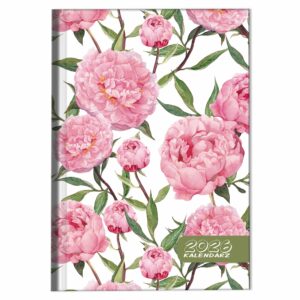 085c4a744074c399702f41a08db0ea21