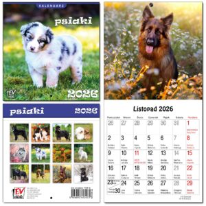 6a52d7e6b20ff0a815d2ce2fdbc56ff7