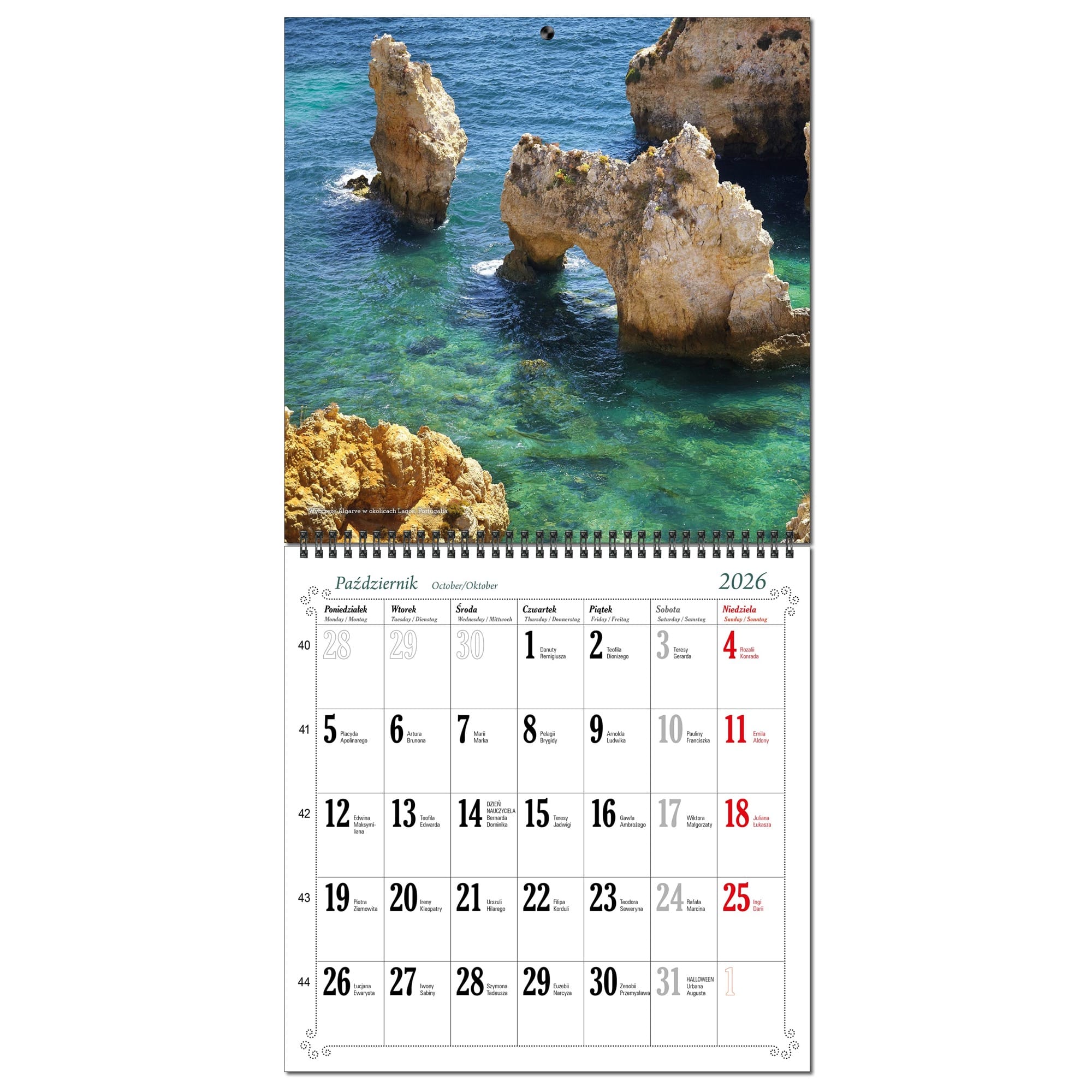 Kalendarz 2026 ścienny duży 30 x 60 cm 13 planszowy PODRÓŻE a2d205a03c8f263aaa7768c54e1d1a6c